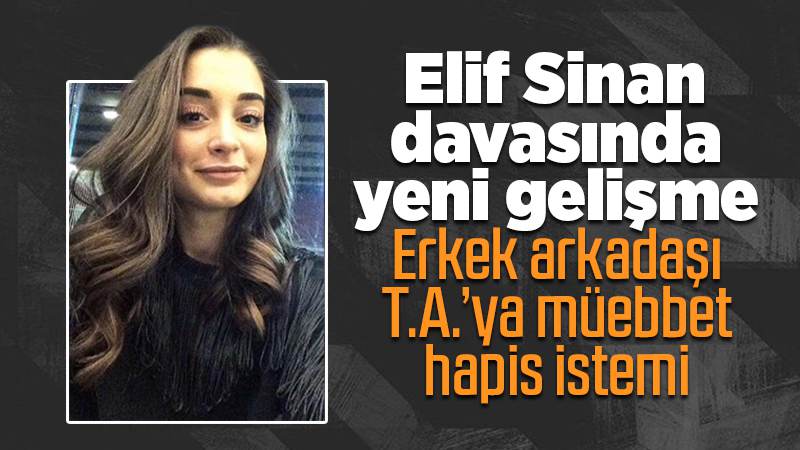 Elif Sinan’ın erkek arkadaşı T.A.’ya müebbet hapis istemi 