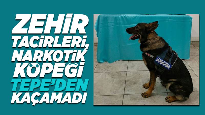 Zehir taciri Tepe’den kaçamadı 