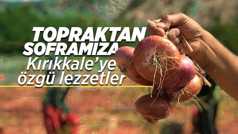 Topraktan soframıza