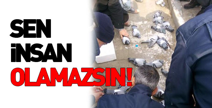 Sen insan olamazsın!