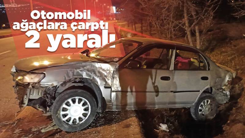Otomobilin ağaçlara çarptığı kazada 2 kişi yaralandı