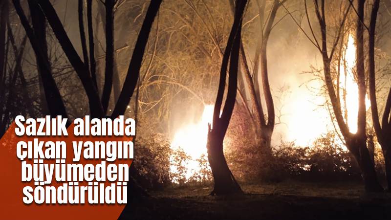 Kırıkkale'de sazlık alanda çıkan yangın söndürüldü