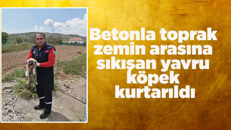 Betonla toprak zemin arasına sıkışan yavru köpek kurtarıldı