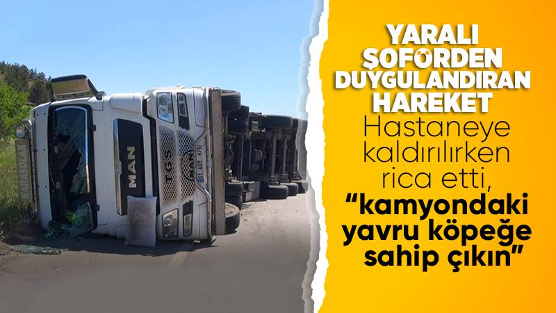 Kırıkkale'de tomruk yüklü tırın devrildiği kazada sürücü yaralandı