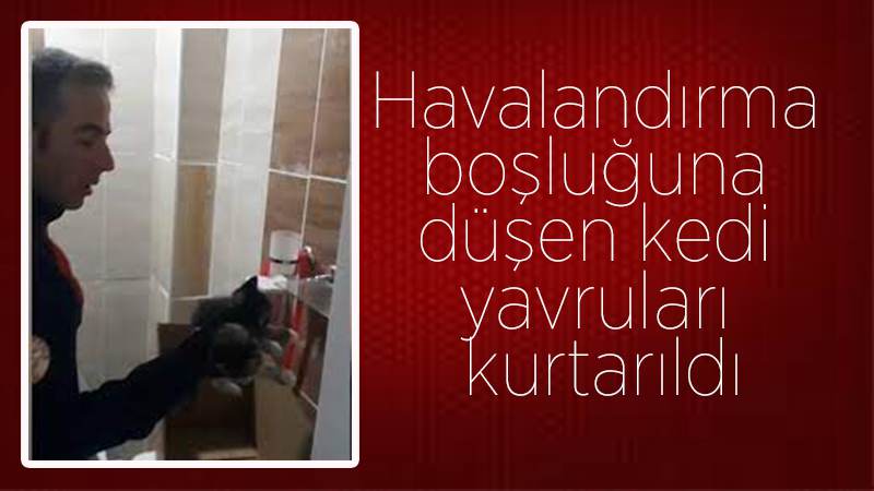 Havalandırma boşluğuna düşen kedi yavruları kurtarıldı