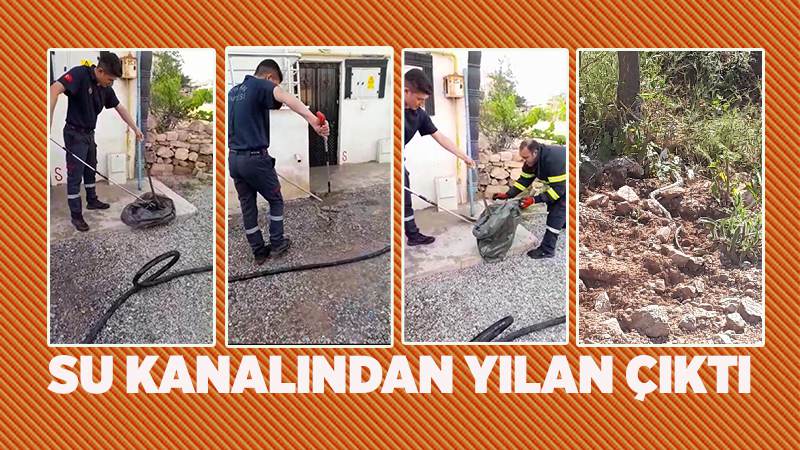 Evin su kanalına giren yılanı itfaiye çıkardı 