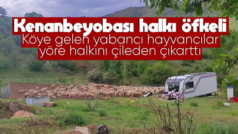 Toprağımızda yabancıları istemiyoruz!