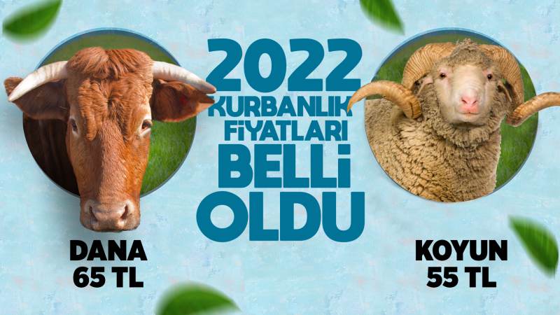 Kurbanlık fiyatları belirlendi! Dana 65 TL, koyun 55 TL! 