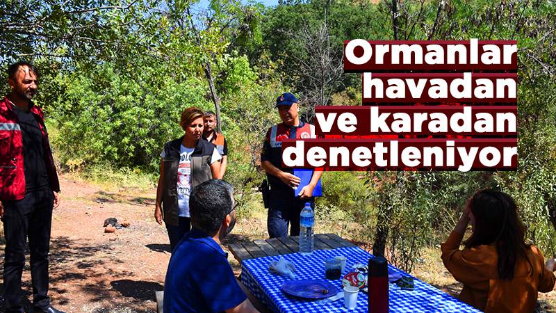 Ormanlar havadan ve karadan denetleniyor