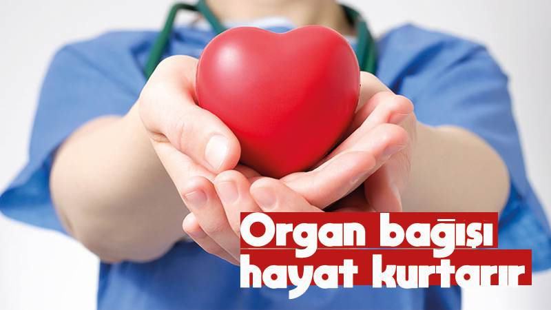 Organ bağışı hayat kurtarır 