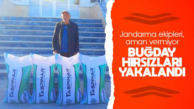 Çalınan buğdaylar çiftçiye teslim edildi