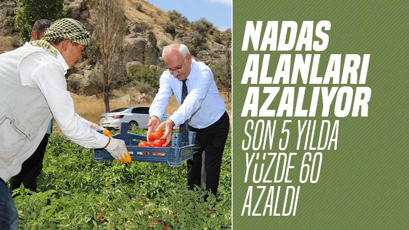 Nadas alanları azalıyor 