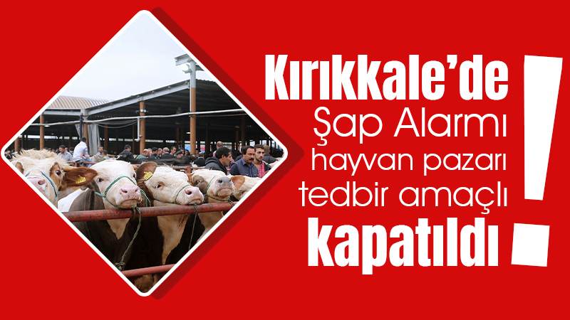 Hayvan pazarı kapatıldı!