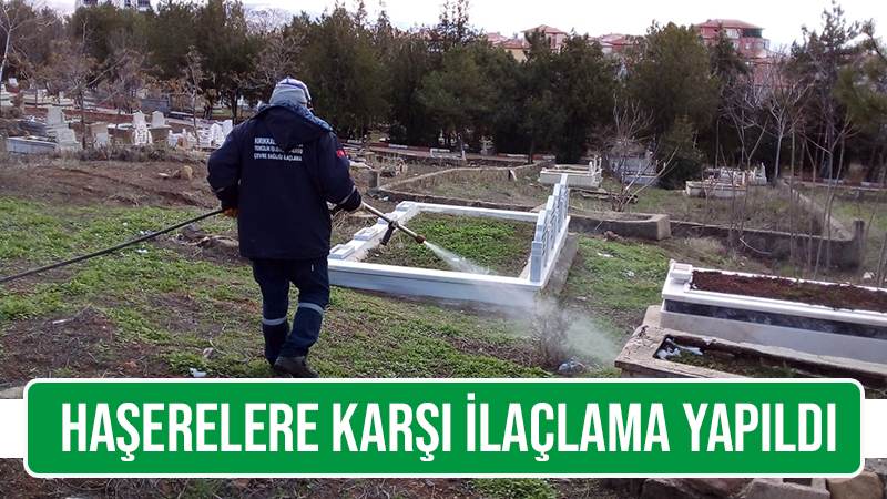 Haşerelere karşı ilaçlama yapıldı 