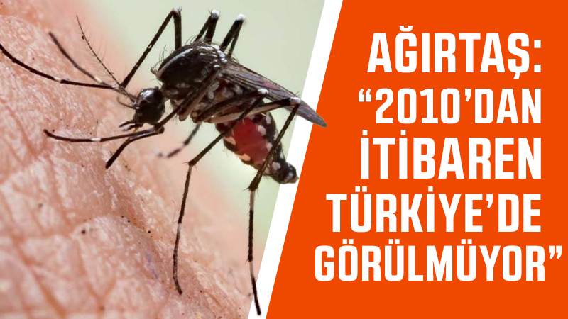 Ağırtaş: “2010’dan itibaren Türkiye’de sıtma görülmüyor”