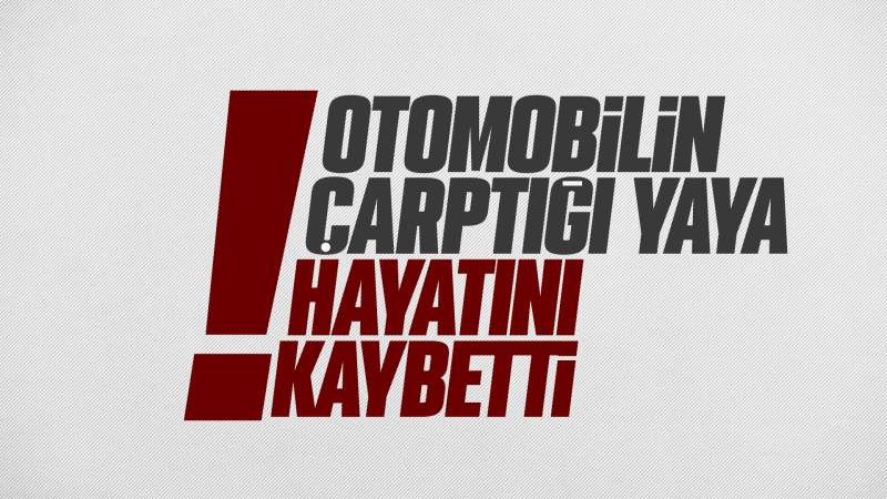 Otomobilin çarptığı yaya hayatını kaybetti