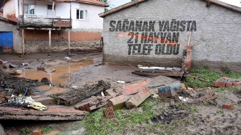 Sağanak yağışta 21 küçükbaş hayvan telef oldu
