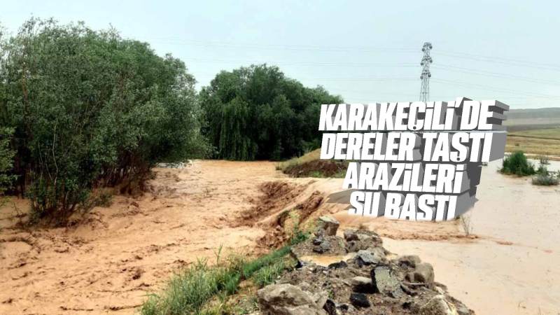 Dereler taştı, arazileri su bastı