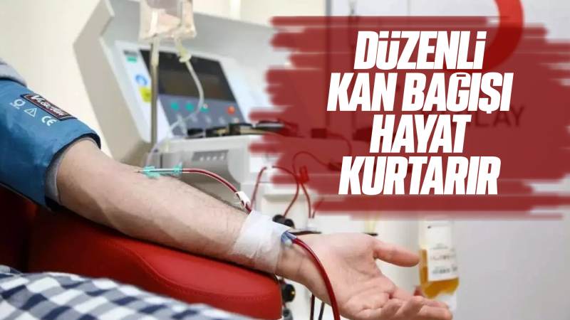 Düzenli kan bağışı hayat kurtarır 