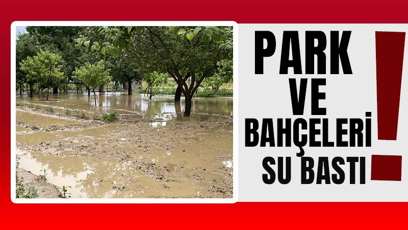 Park ve bahçeleri su bastı!