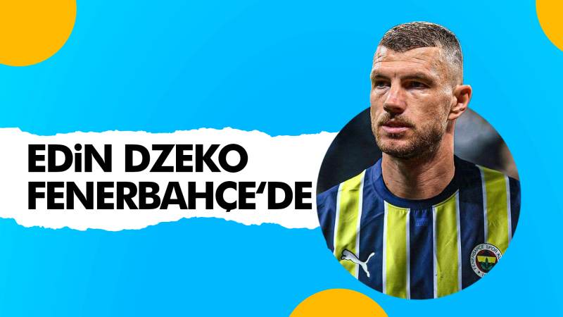 Edin Dzeko, Fenerbahçe’de