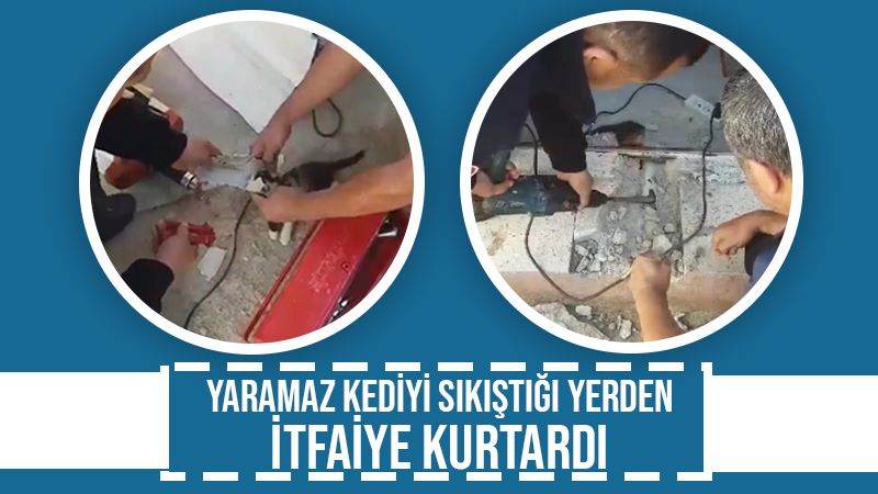 Yaramaz kediyi sıkıştığı yerden itfaiye kurtardı 