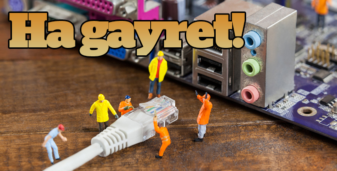 Ha gayret!