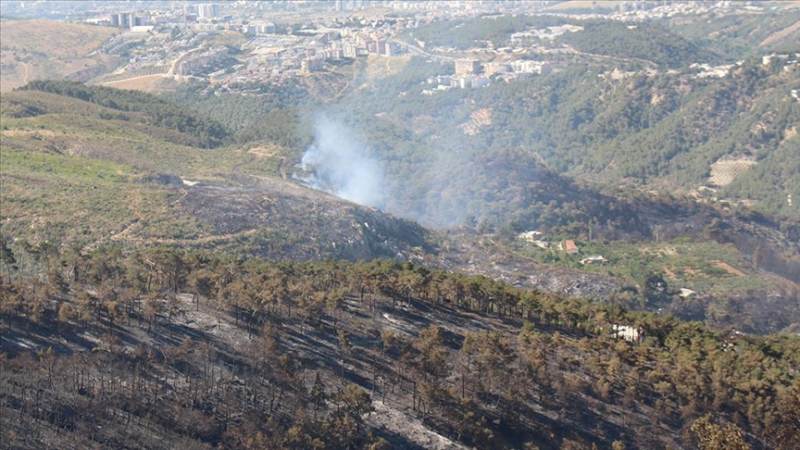 Hatay’da yangın kontrol altına alındı 