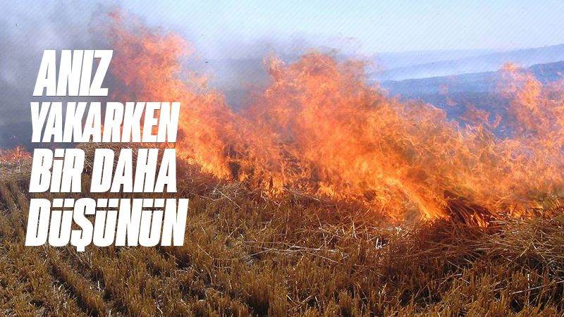 Anız yakarken bir daha düşünün!