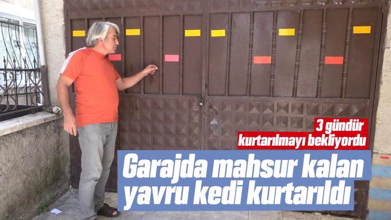 Garajda mahsur kalan yavru kedi kurtarıldı 