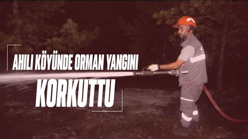 Ahılı köyünde orman yangını korkuttu 