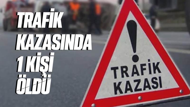 Trafik kazasında 1 kişi öldü