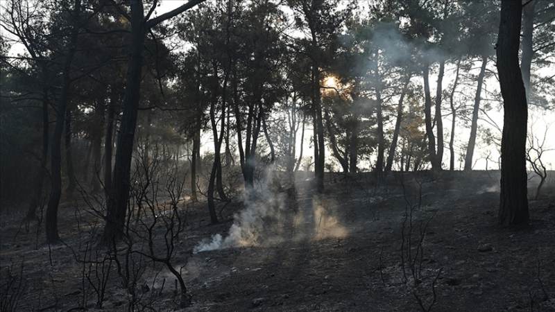 Çanakkale'deki orman yangını kontrol altına alındı