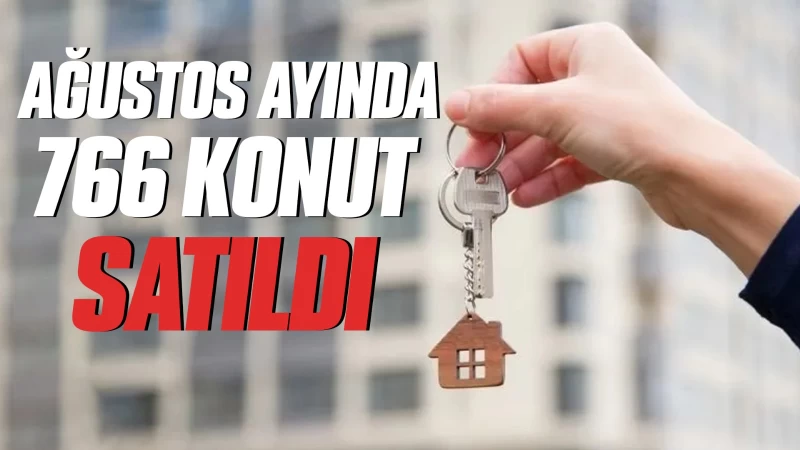 Ağustos ayında 766 konut satıldı 