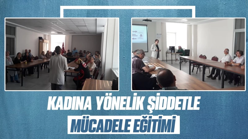 Kadına yönelik şiddetle mücadele eğitimi 