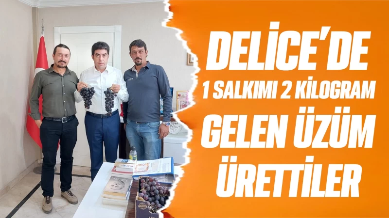 Delice’de 1 salkımı 2 kilogram gelen üzüm ürettiler 