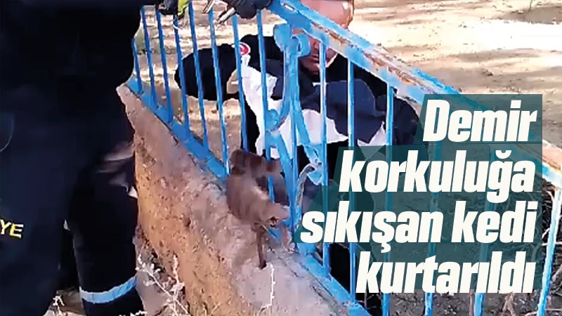 Demir korkuluğa sıkışan kedi kurtarıldı 