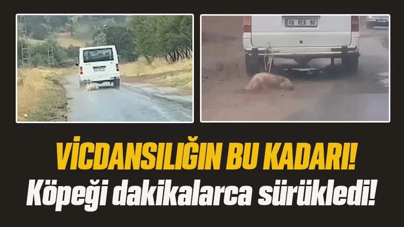 Minibüsün arkasına bağladığı köpeği dakikalarca sürükledi 