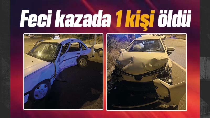 Trafik kazasında 1 kişi öldü, 2 kişi yaralandı