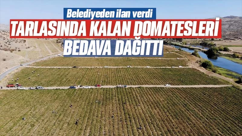 Tarlasında kalan mahsulleri bedavadan dağıttı 