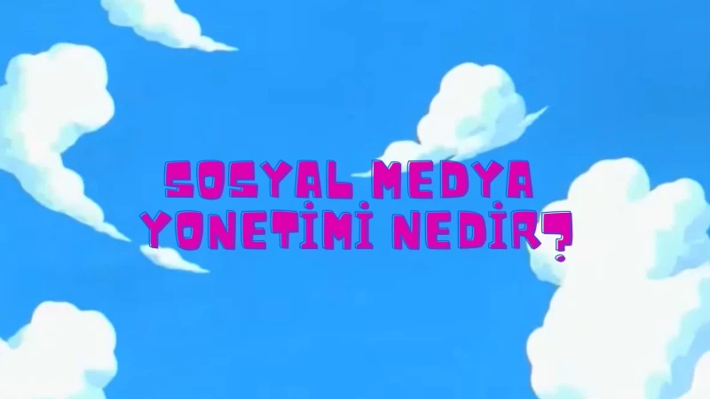 Sosyal Medya Yönetimi Nedir? Nasıl Yapılır?