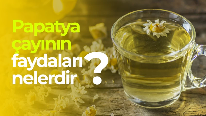 Papatya çayının faydaları nelerdir?