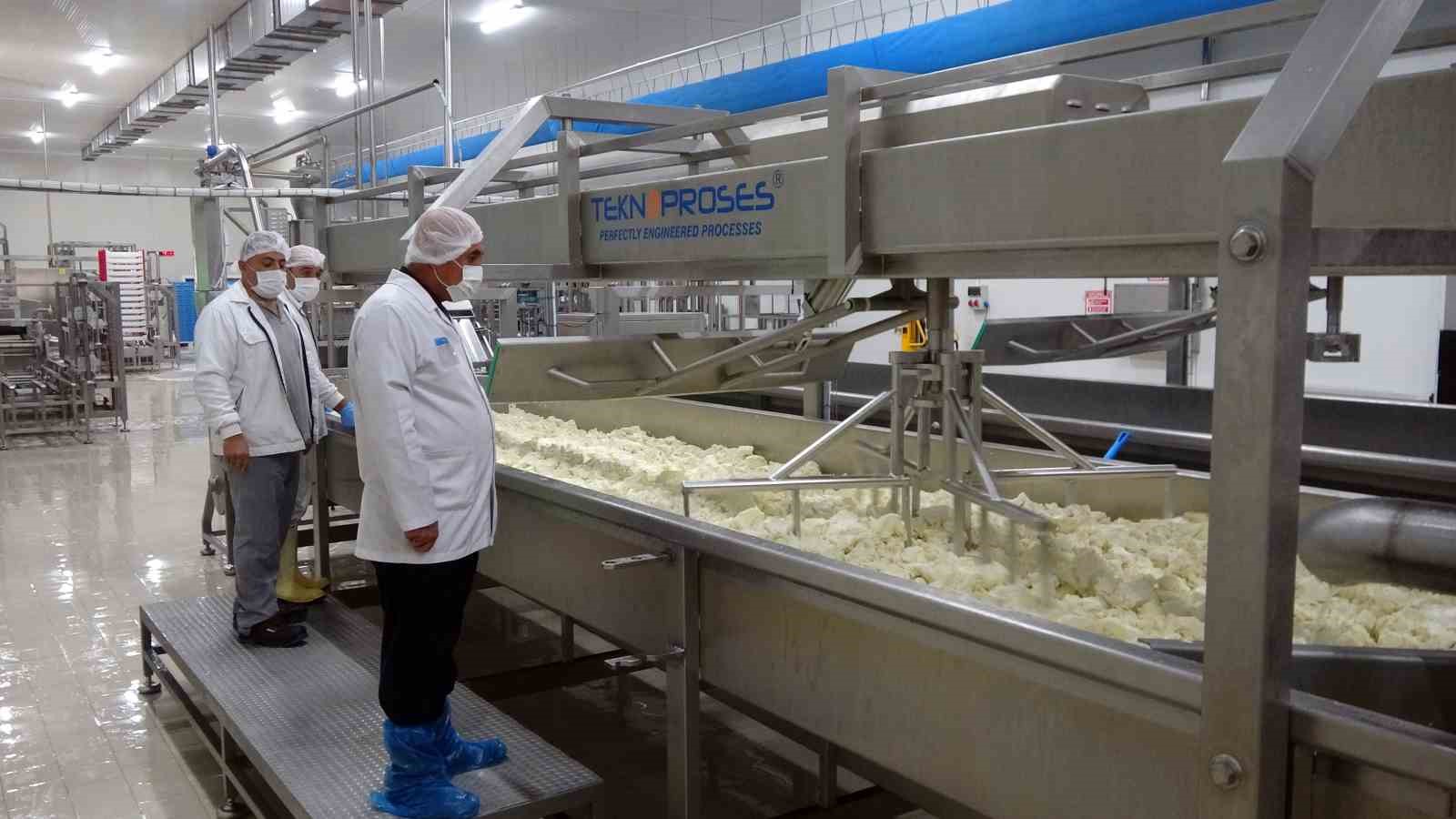 Yozgat'ta 340 bin litre süt işlenerek 770 ton ürün elde edildi