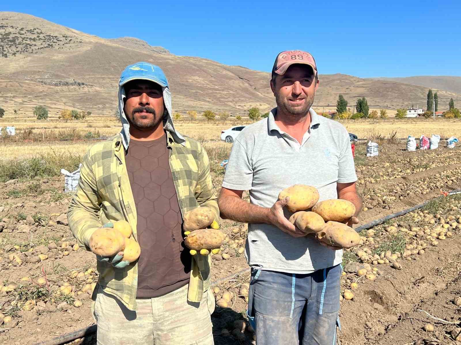 Nevşehir’de patates hasadı başladı