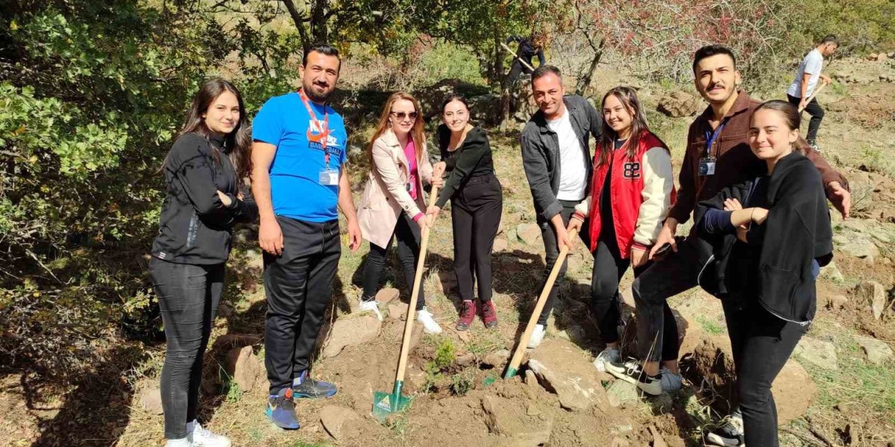 Yaz demeden kış demeden ağaç dikiyoruz