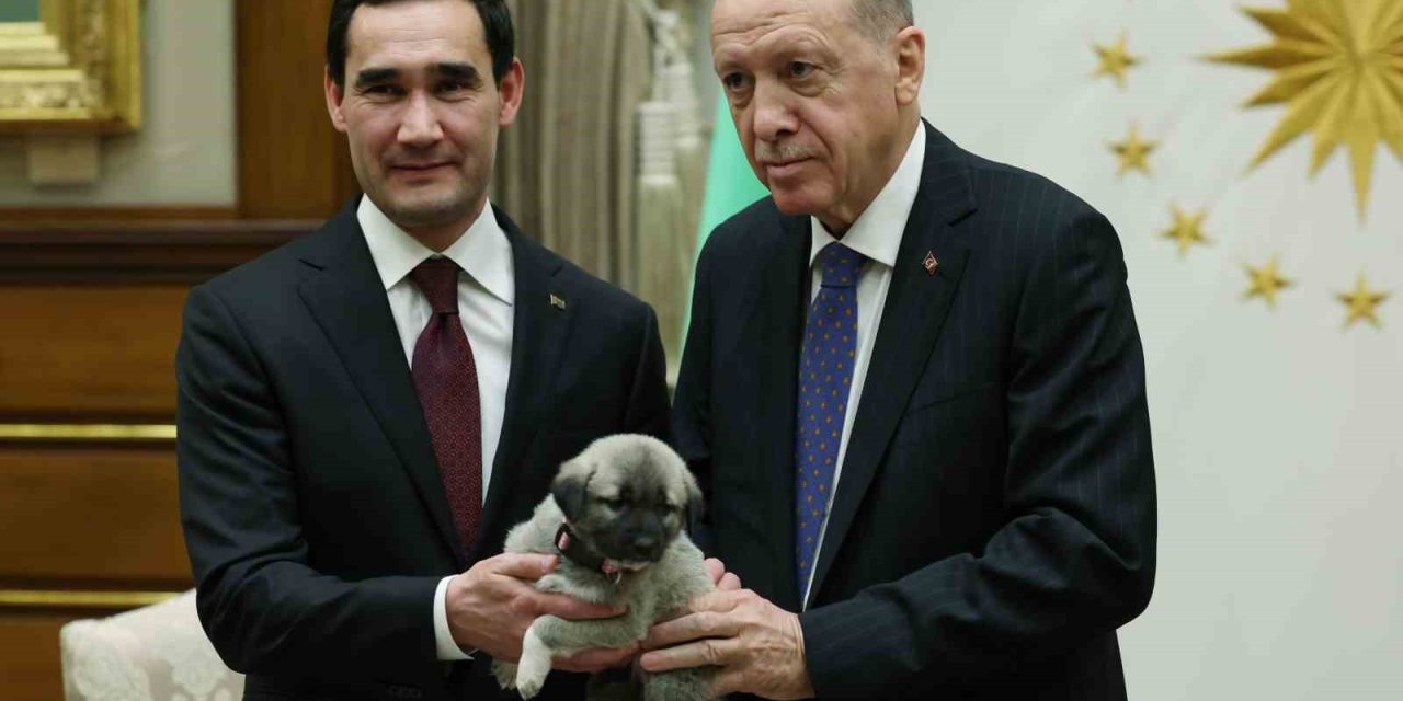 Cumhurbaşkanı Erdoğan ve Türkmenistan Devlet Başkanı Berdimuhammedov birbirlerine köpek hediye etti