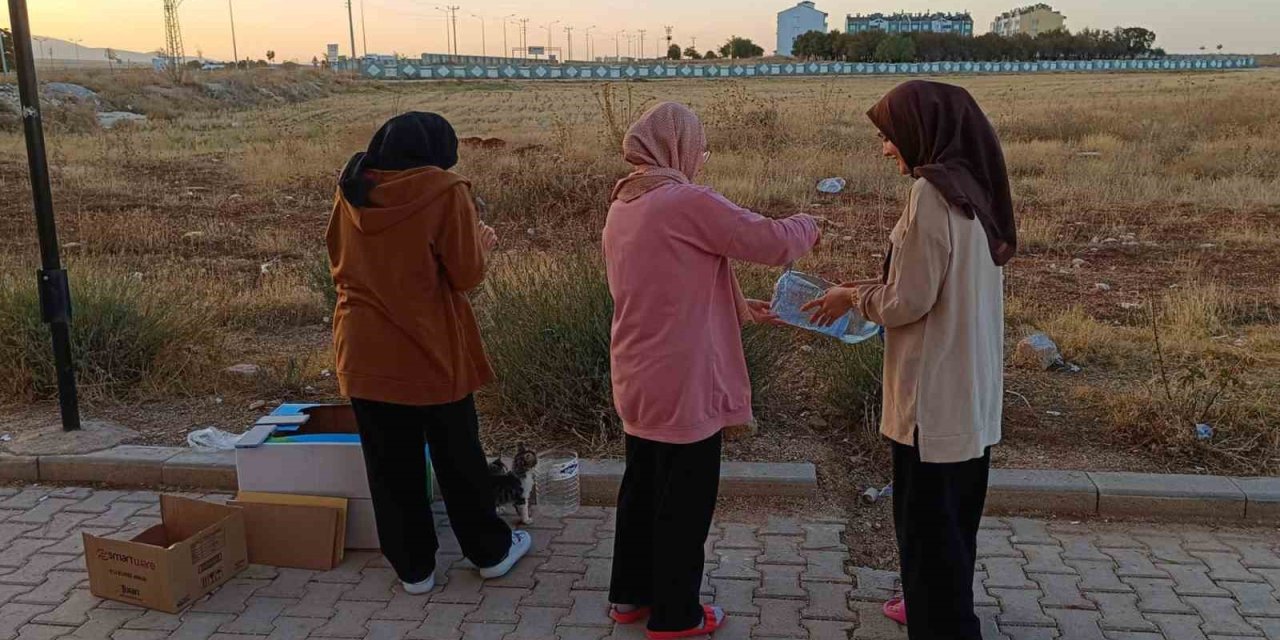 Karaman'da öğrenciler kış öncesi sokak hayvanları için barınak yaptı