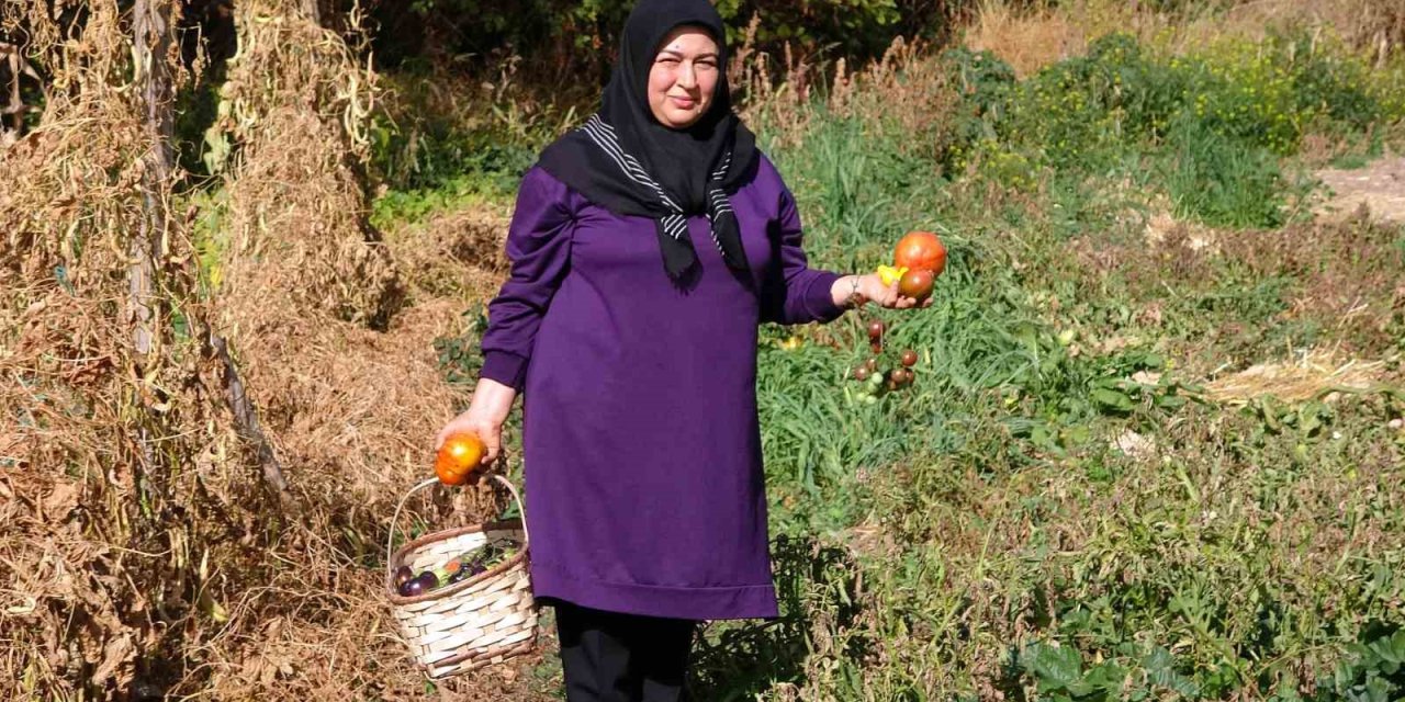 Yozgatlı çift, sağlıklı nesiller için ata tohumu üretiyor