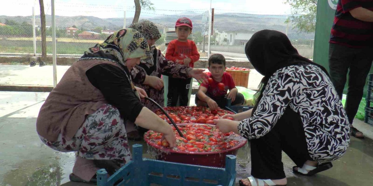Kışlık gıda plastikte saklanmaz