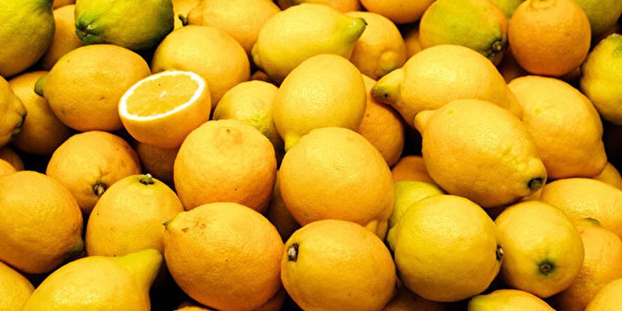 Limon, resmen hayat kurtarıyor!